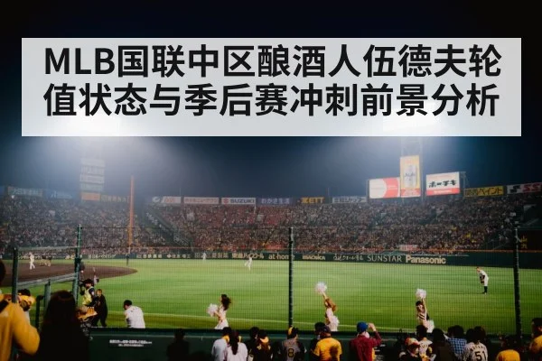 baseball stadium night game